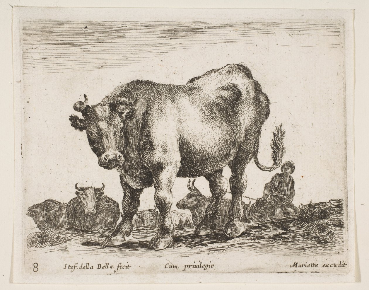 Plate 8: cow, from Various animals Diversi animali by Stefano della Bella