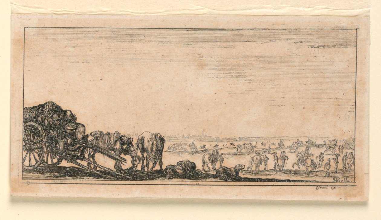 Plate 8, from 