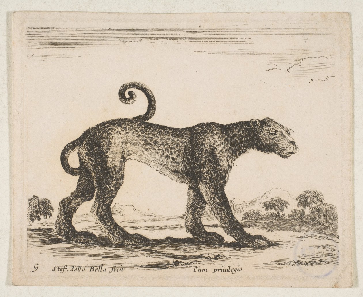 Plate 9: leopard, from 