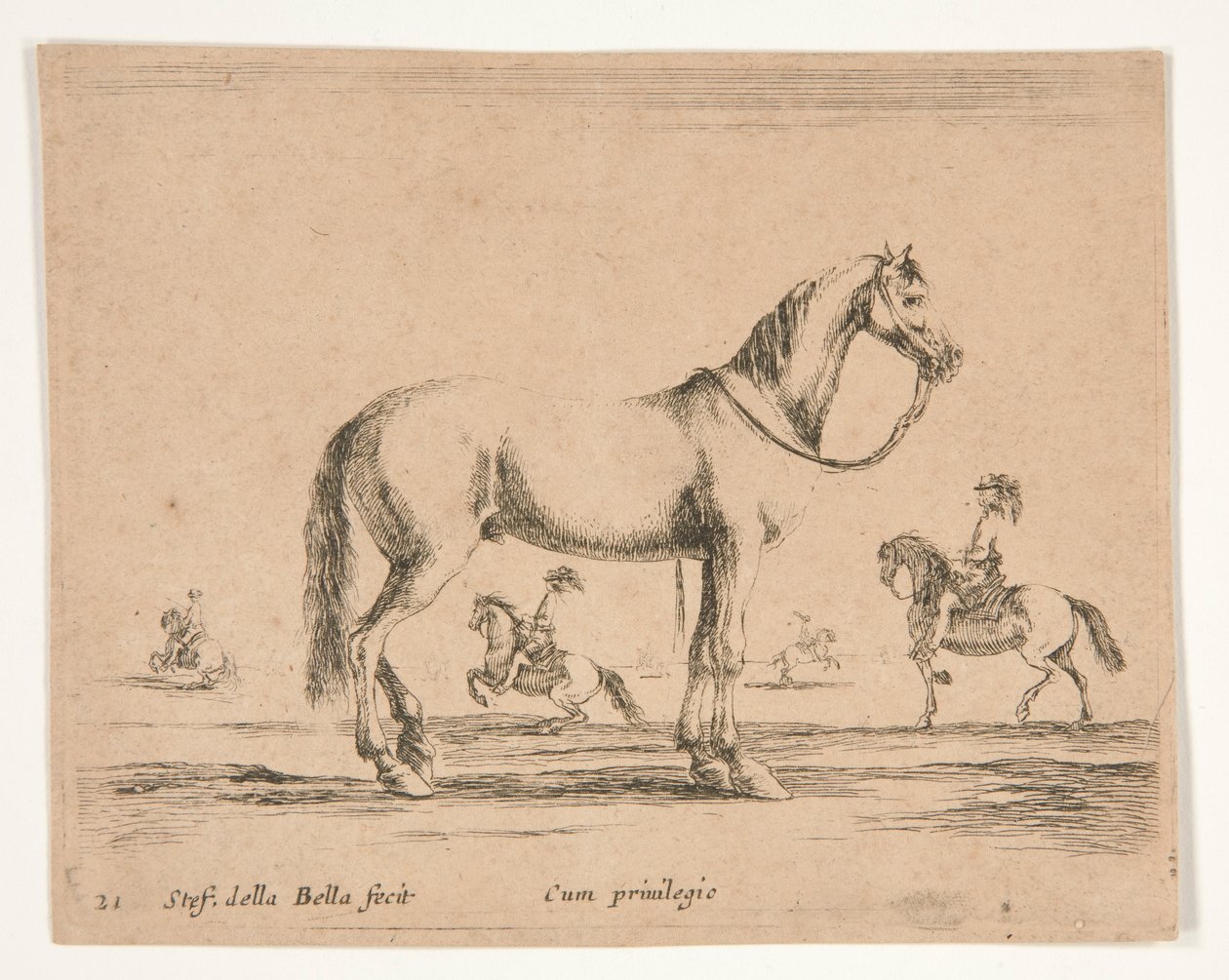 Riderless Horse, with Riders Doing Dressage in Background by Stefano della Bella