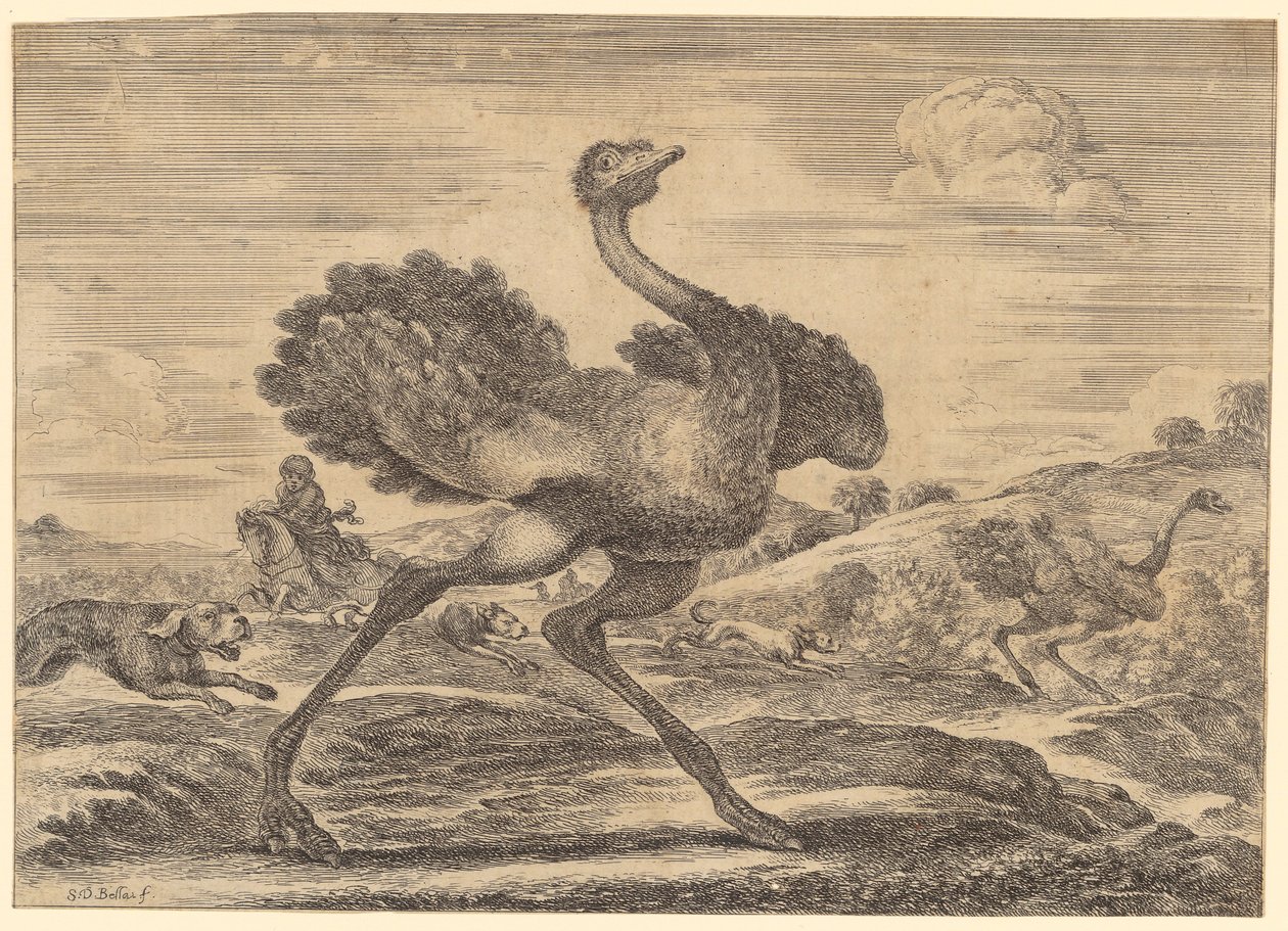 Ostrich Hunt by Stefano della Bella