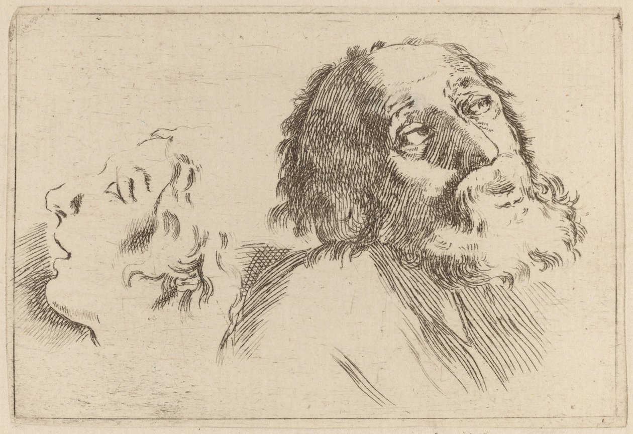 Study of Heads, One Turned to the Right and the Other Turned Left by Stefano della Bella