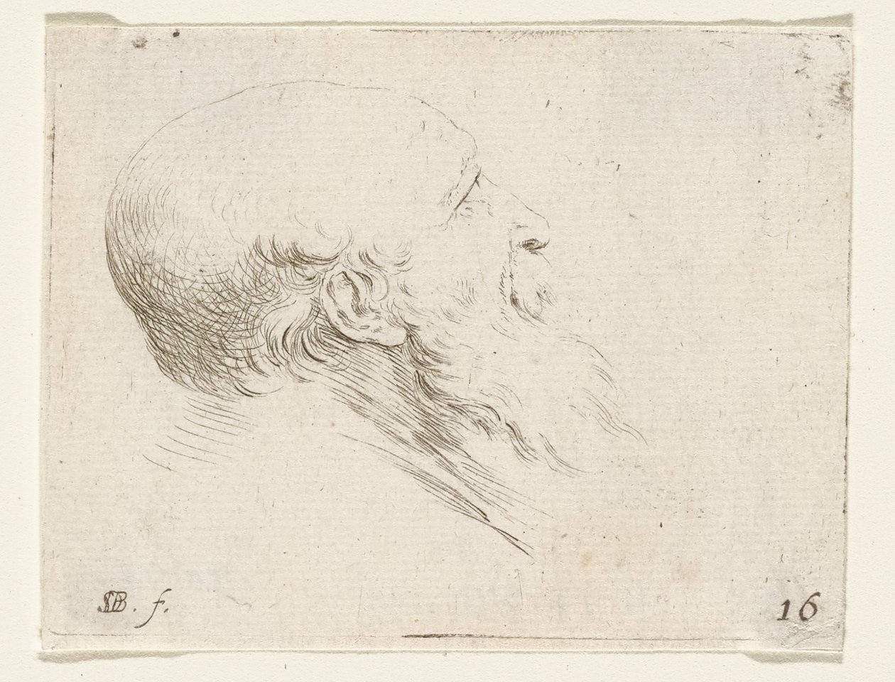 Head of a Bald Old Man by Stefano della Bella