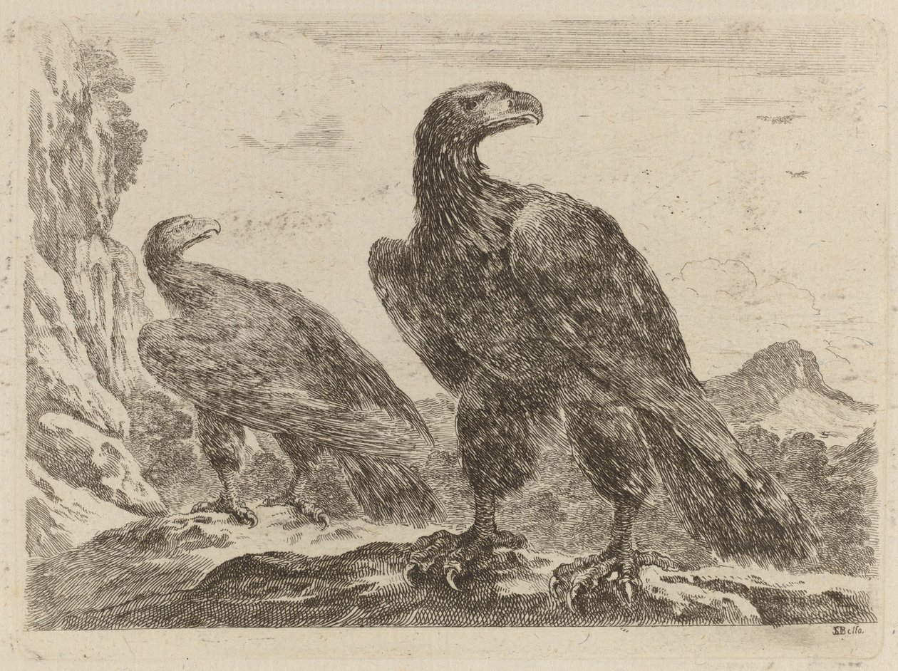 Two Eagles, Both with Heads Turned to the Right by Stefano della Bella