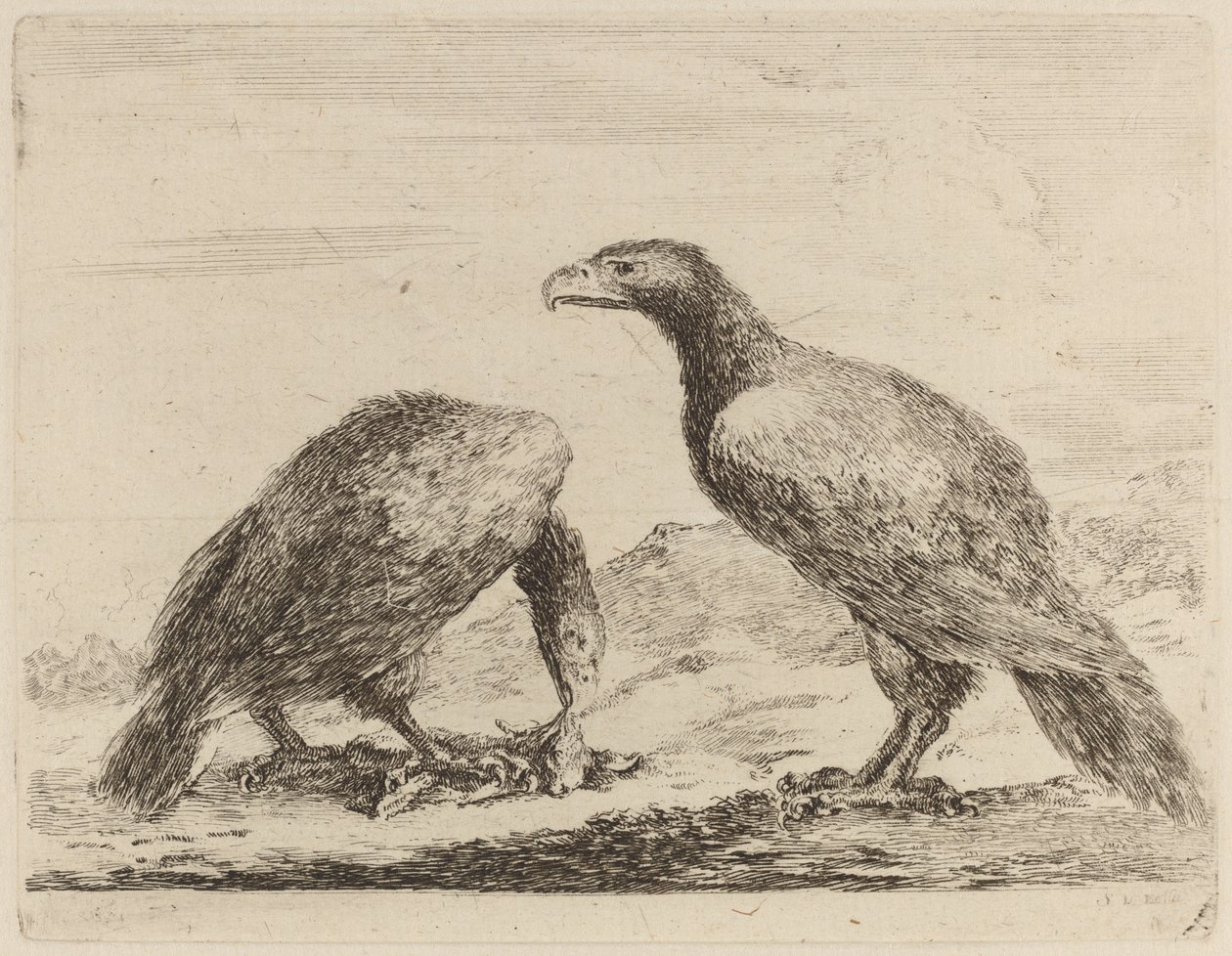 Two Eagles, One Eating a Small Lamb by Stefano della Bella