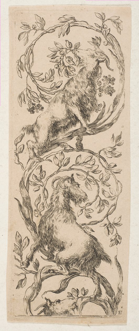 Two Goats Nibbling Branches by Stefano della Bella