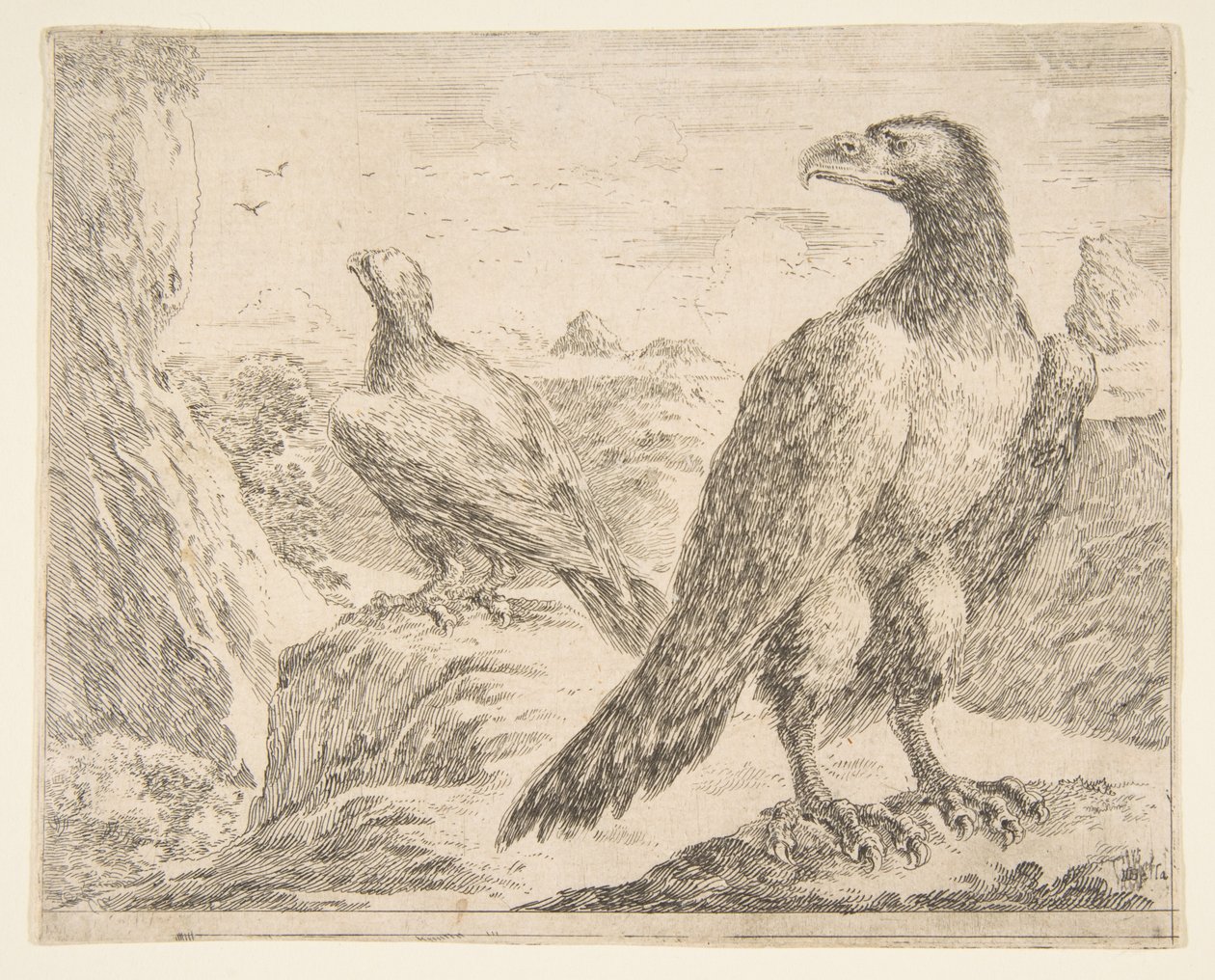 Two eagles, from Eagles Les aigles by Stefano della Bella