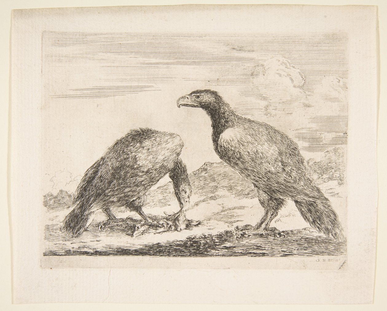 Two Eagles, One Devouring a Lamb, from Eagles, ca. 1651 by Stefano della Bella