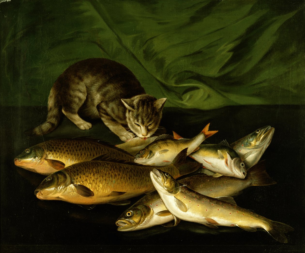 A Cat with Trout, Perch and Carp on a Ledge by Stephen Elmer