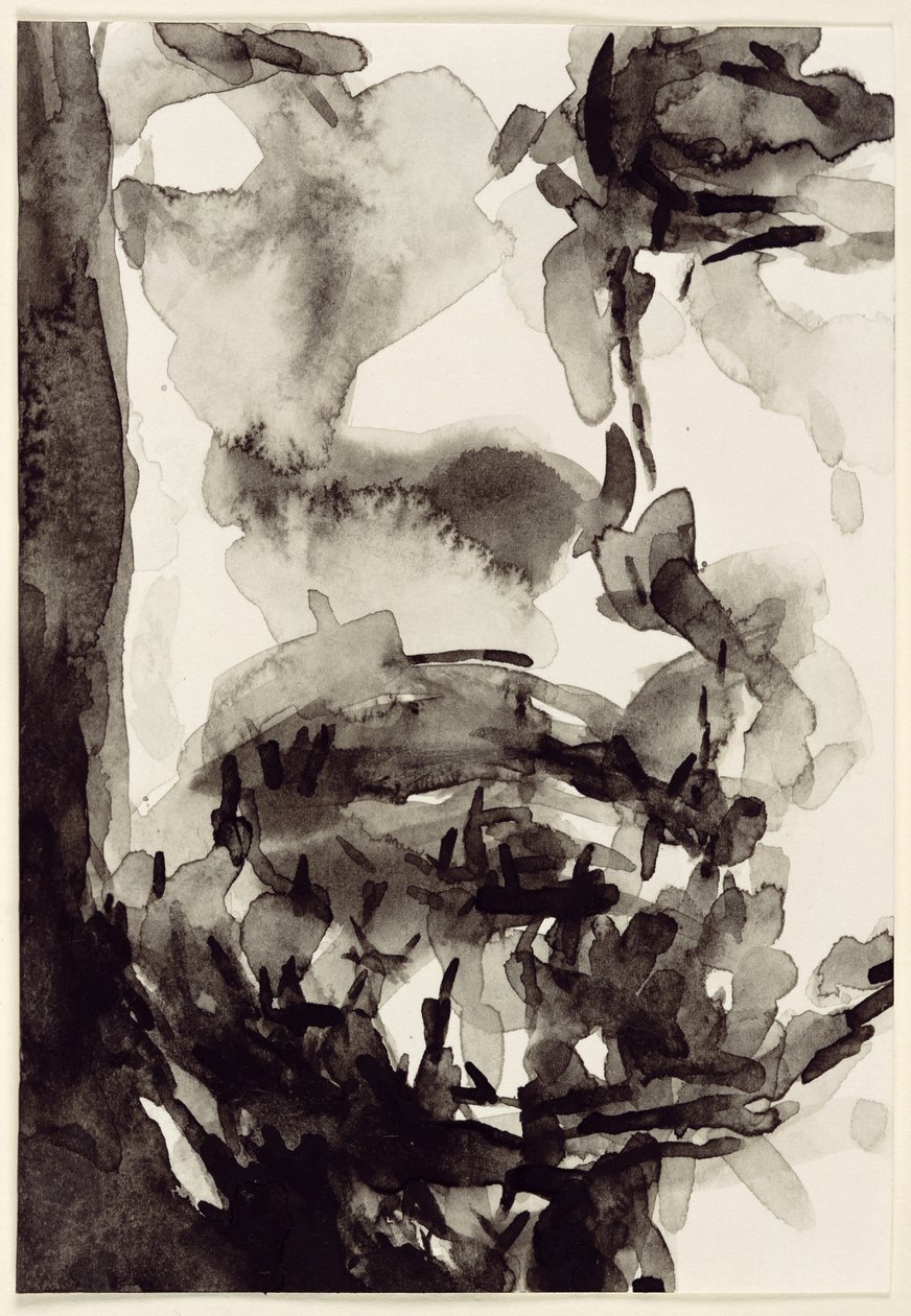 Face, 2001 by Stephen Finer
