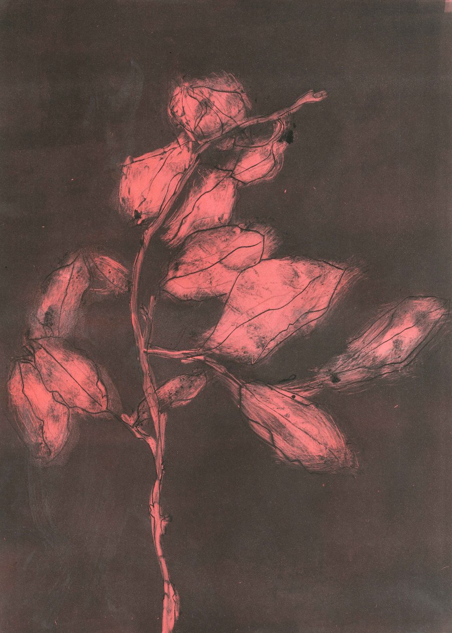 Foliage I, 2015 by Stephen Dow