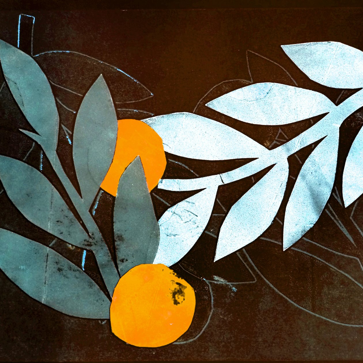 Persimmon, 2018 by Stephen Dow