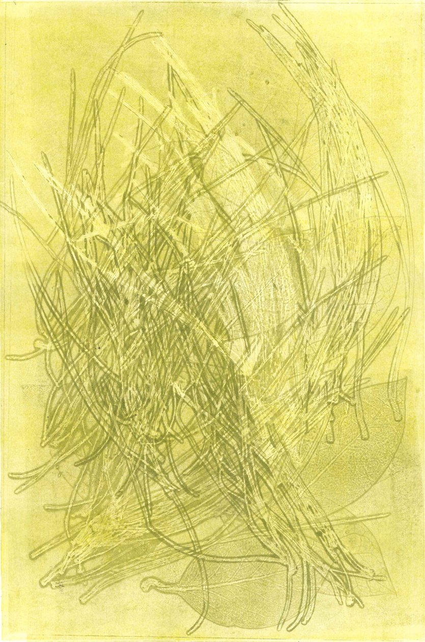 Summer Garden V by Stephen Dow