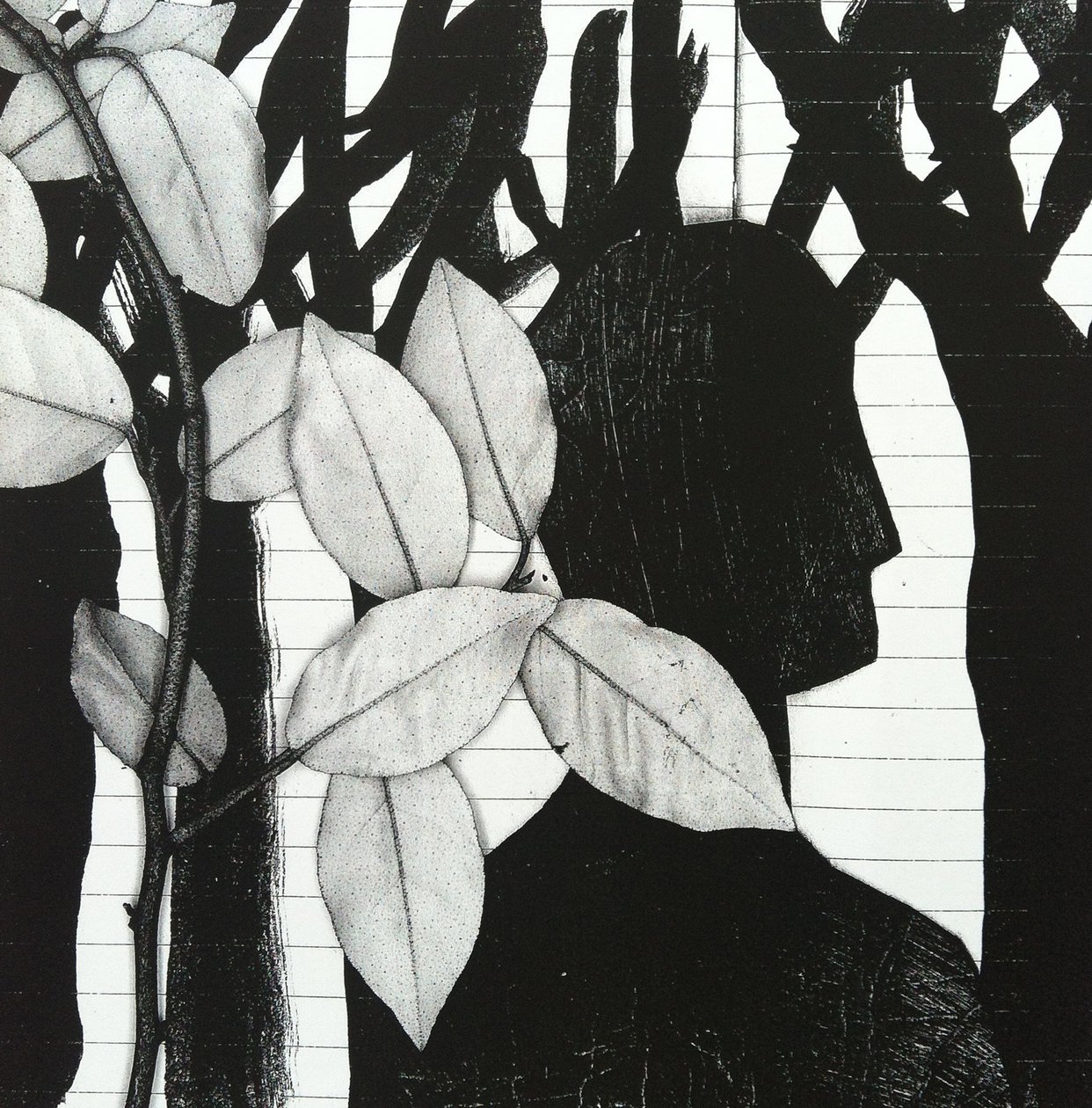 The Woods by Stephen Dow