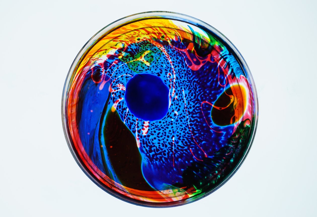 Koan by Steve Pavlovsky
