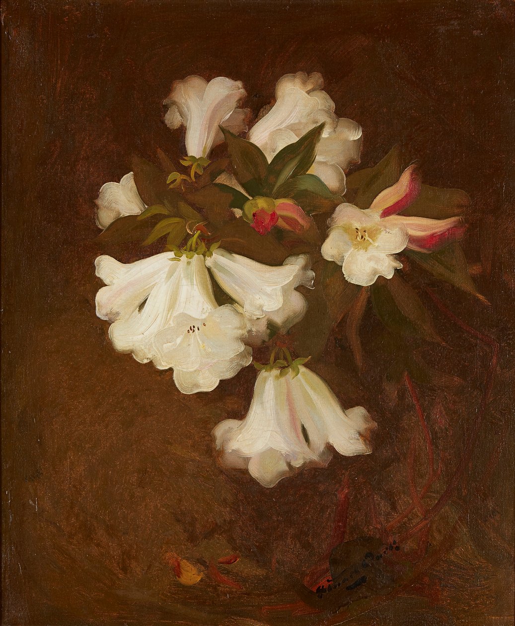 A Still Life of White Lilies by Stuart Park