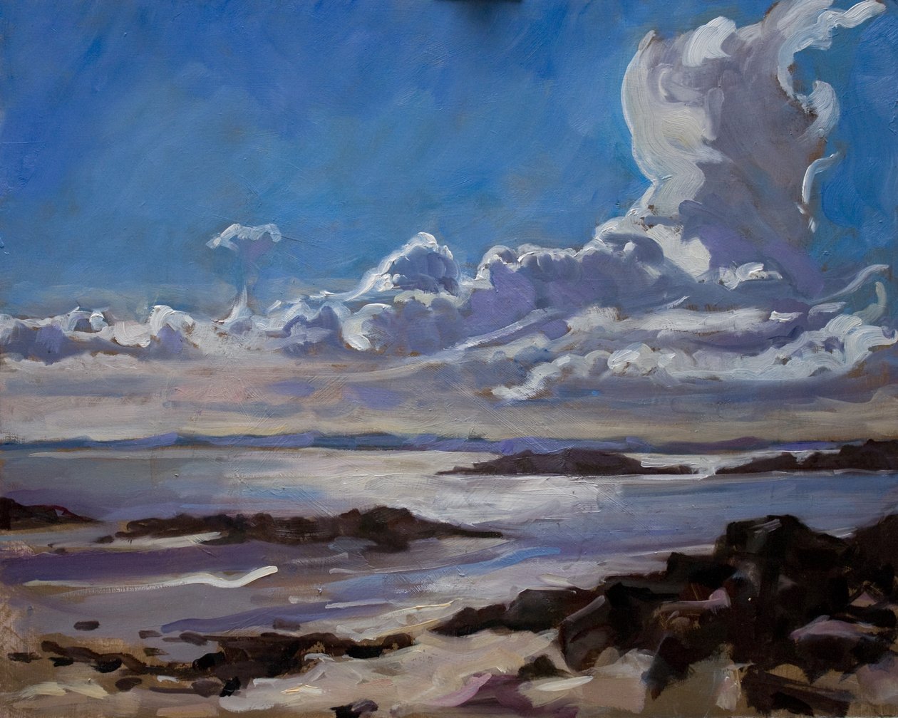 Late afternoon in Galloway by Sue Wales