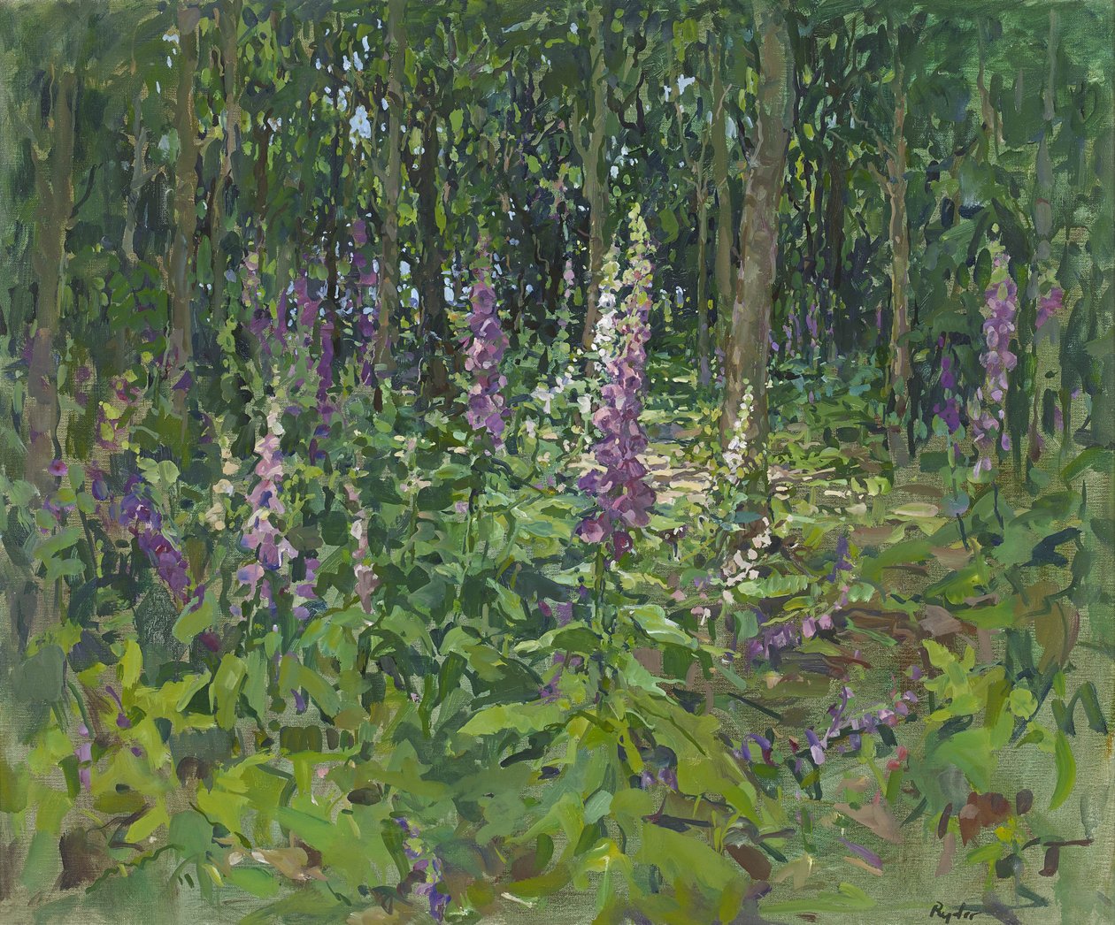 Foxgloves by Susan Ryder