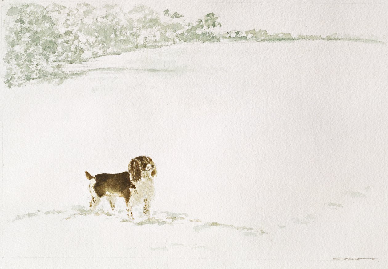 Springer Spaniel in the Snow by Suzi Kennett
