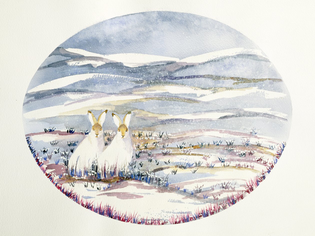 Two Hares in a Snowy Landscape by Suzi Kennett