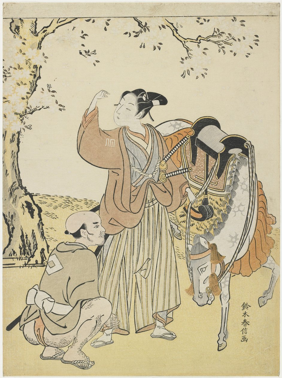 Young Samurai Viewing Cherry Blossoms as a Mitate of Prince Kaoru by Suzuki Harunobu