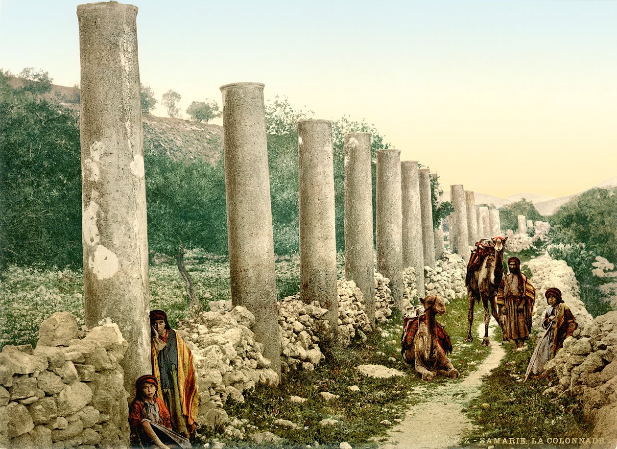 Roman colonnaded street at Samaria by Swiss Photographer