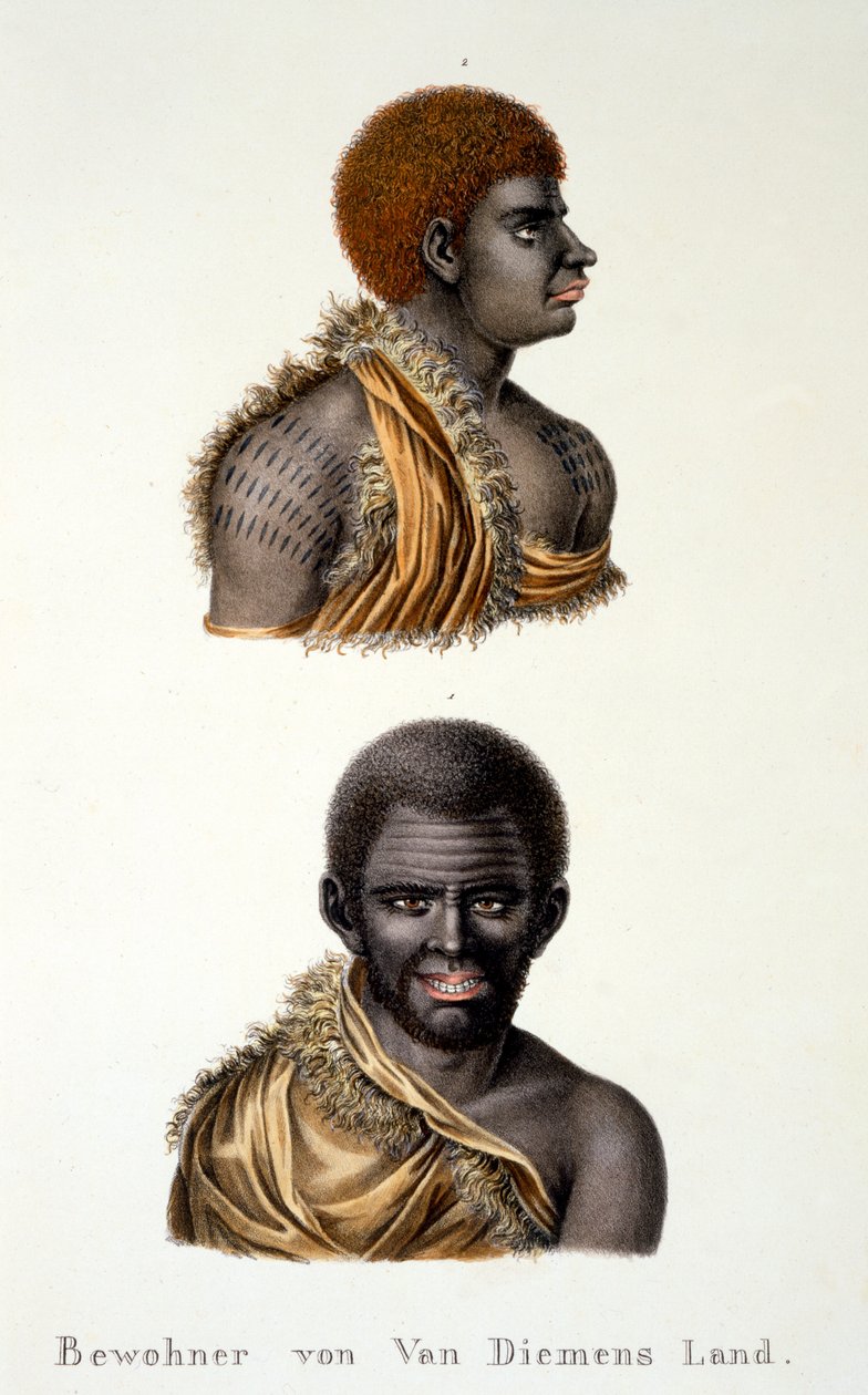 Natives of Van Diemans Land, ie. Tasmania, from Ethnological Study of Various Racial Types from Various Continents, by C.I. Brodtmann, 1824 by Swiss School