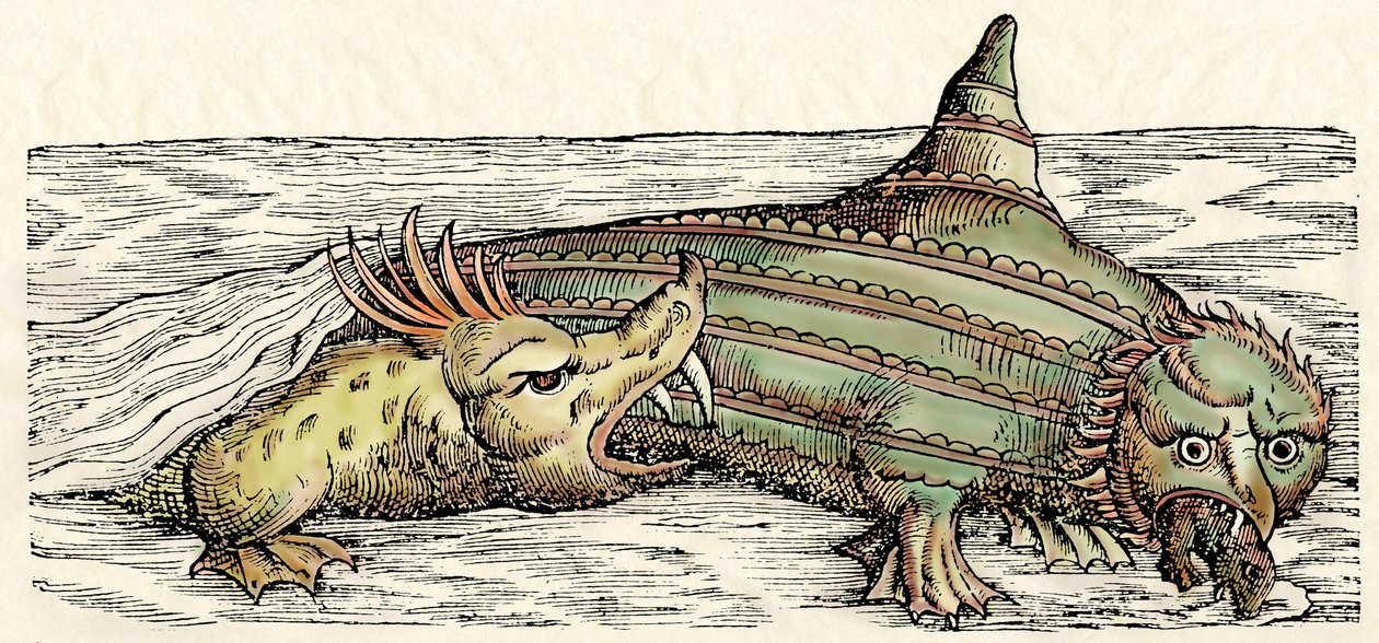 Sea Creatures, Illustration from 