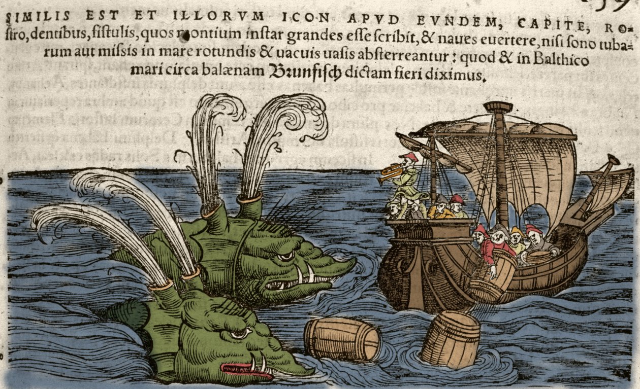 Sea Monsters, illustration from 