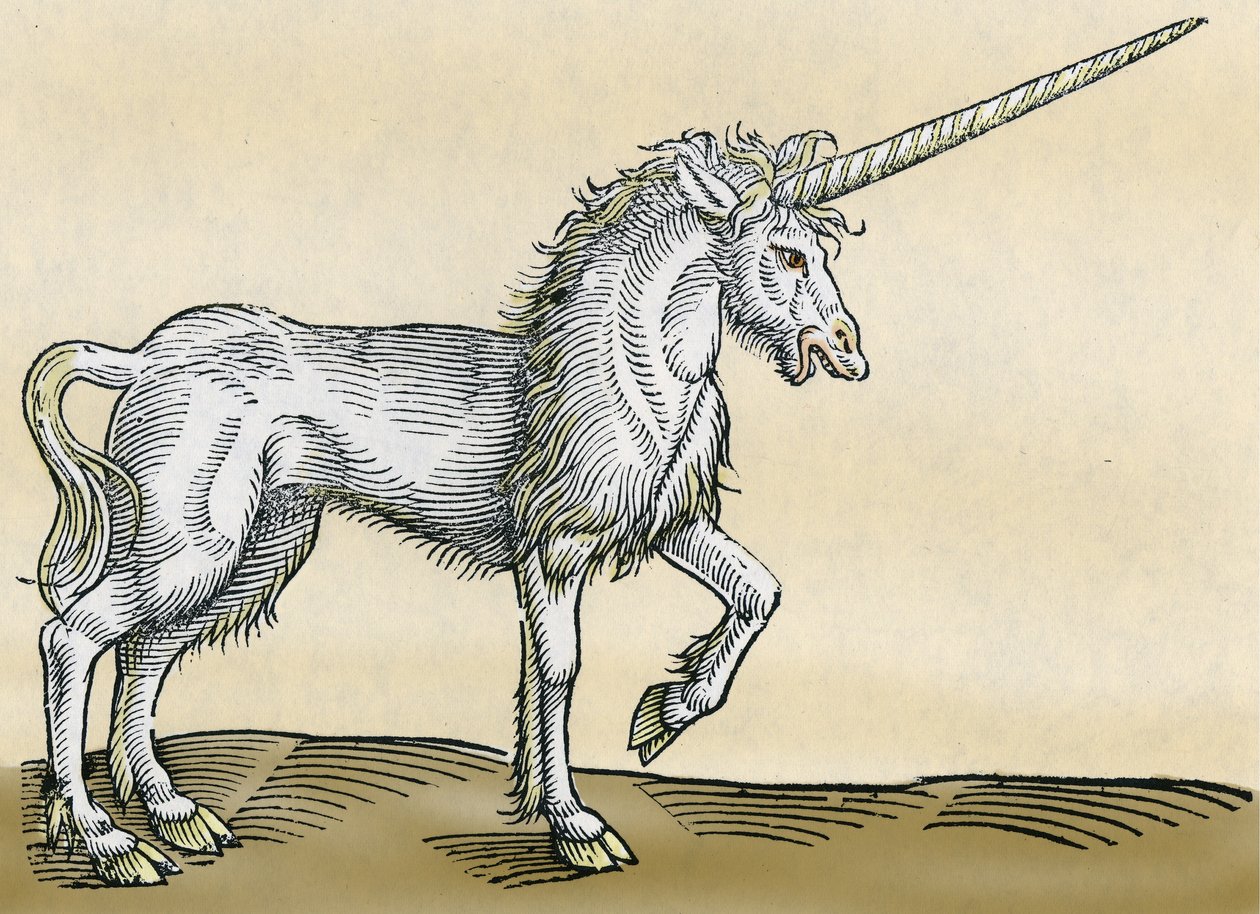 Unicorn, illustration from Historiae Animalium by Conrad Gesner, 1551 by Swiss School