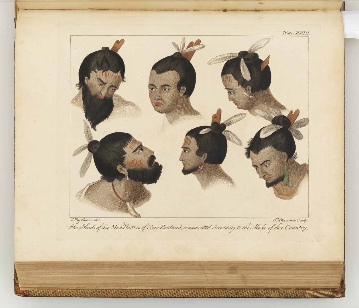 The Heads of Six Men, Illustration from A Journal of a Voyage to the South Seas: In His Majesty
