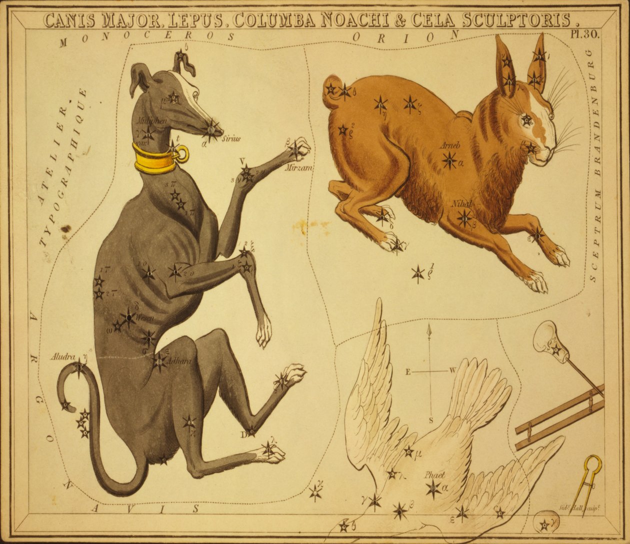 Canis Major, Lepus, Columba Noachi & Cela Sculptoris, Illustration from 