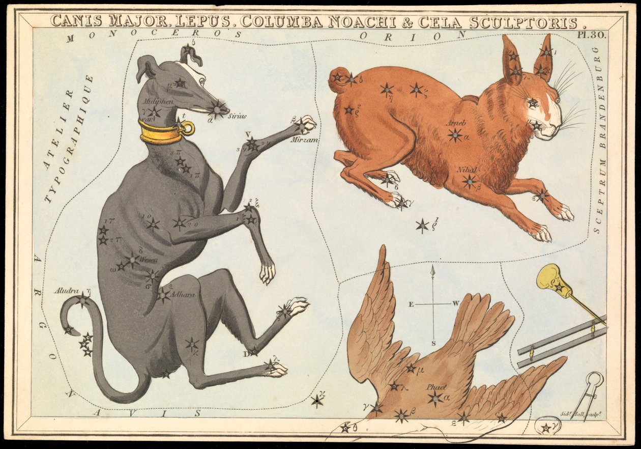 Canis Major. Lepus, Columba Noachi & Cela Sculptoris, c.1825 by Sydney Hall