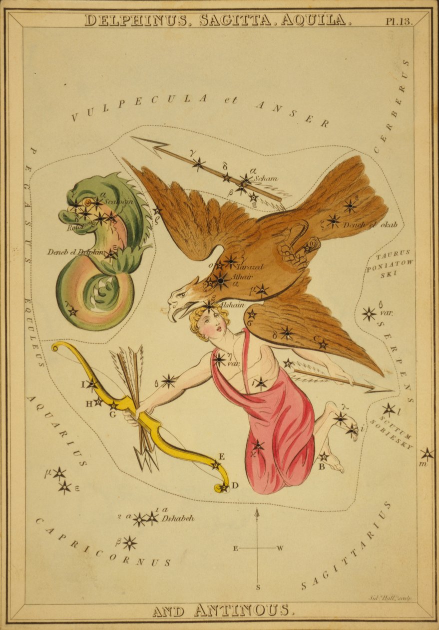 Delphinus, Sagitta, Aquila, and Antinous, Illustration from 