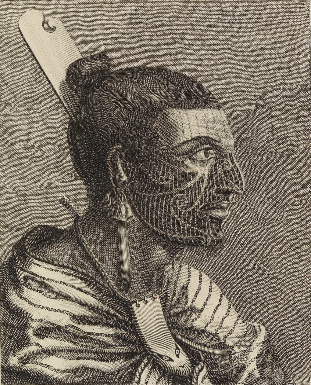 Head of a New Zealander with a comb in his hair by Sydney Parkinson