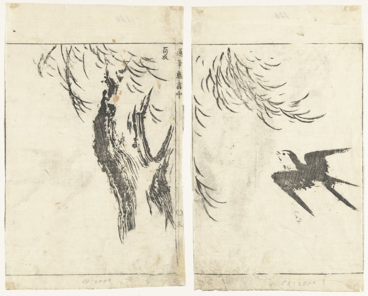 Swallow and Willow (Images in Quick Brushstrokes) by Tachibana Morikuni