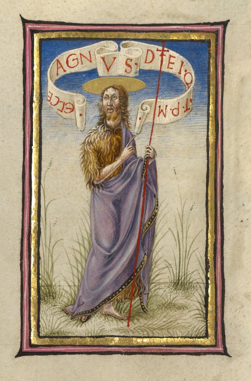 Saint John the Baptist by Taddeo Crivelli