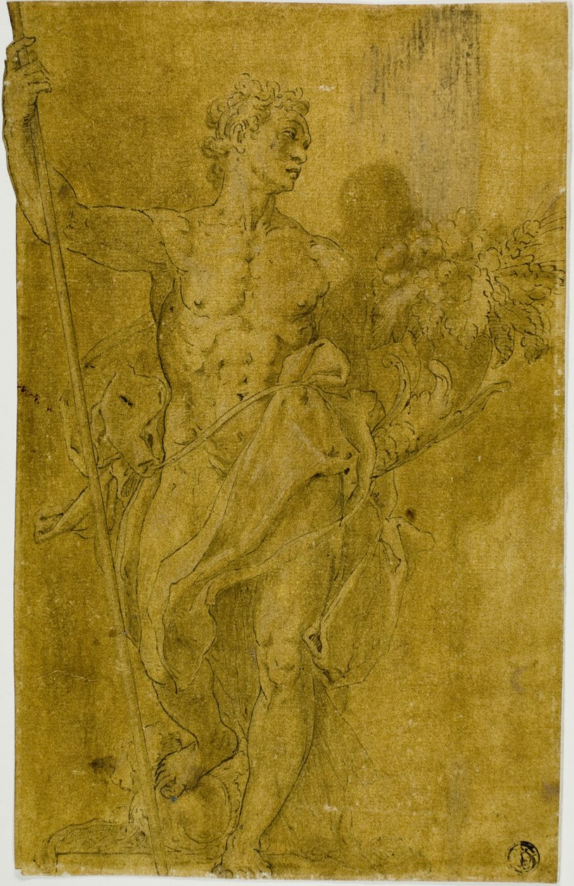 Study for Male Allegorical Figure by Taddeo Zuccaro