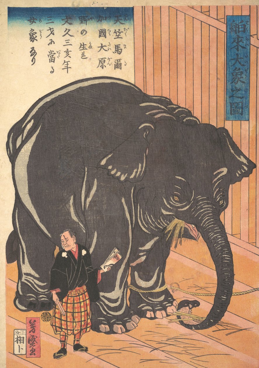 View of the Large Imported Elephant, 1863 by Taguchi Yoshimori