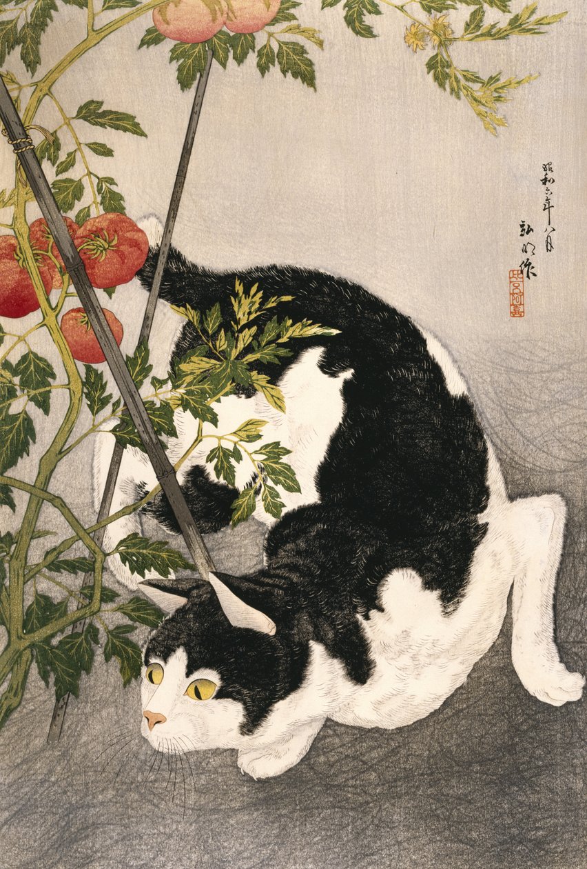 Cat Prowling Around a Staked Tomato Plant, 1931 by Takahashi Hiroaki
