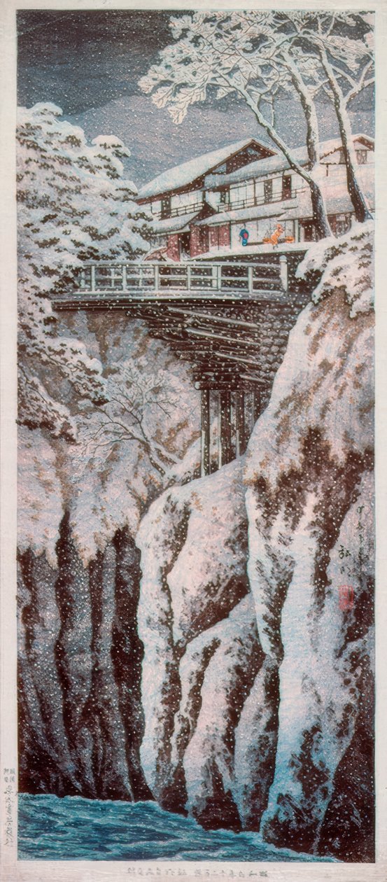 Koshu Monkey Bridge by Takahashi Hiroaki
