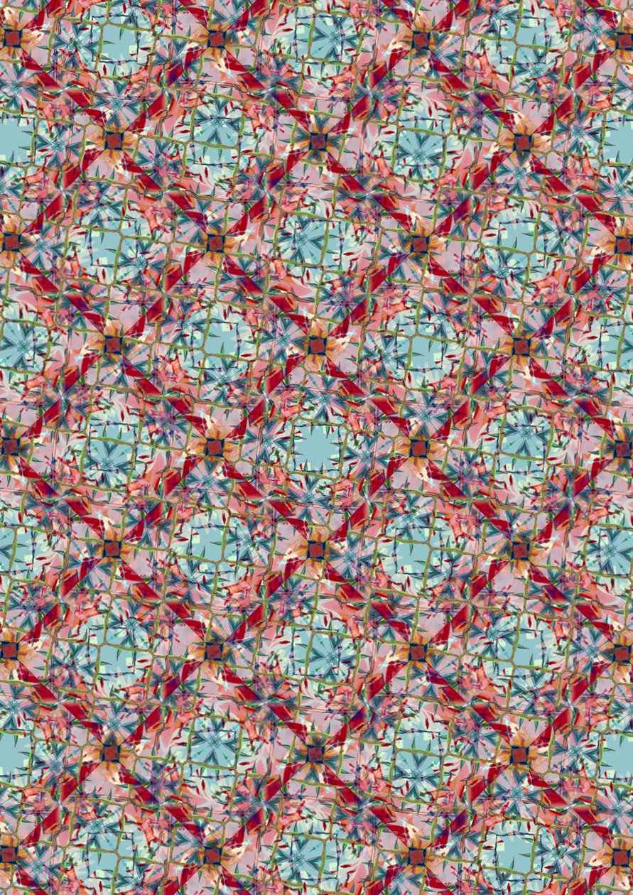Exotic Mix by Tara Whitehead
