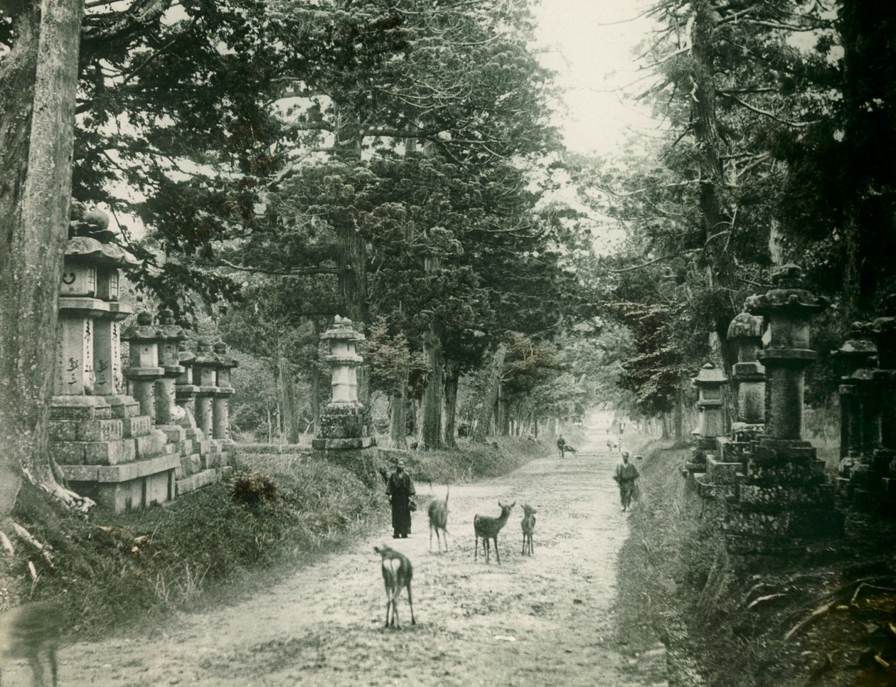 Kasuga Taisha Park in Nara, circa 1900 - 1915 by Teijiro Takagi