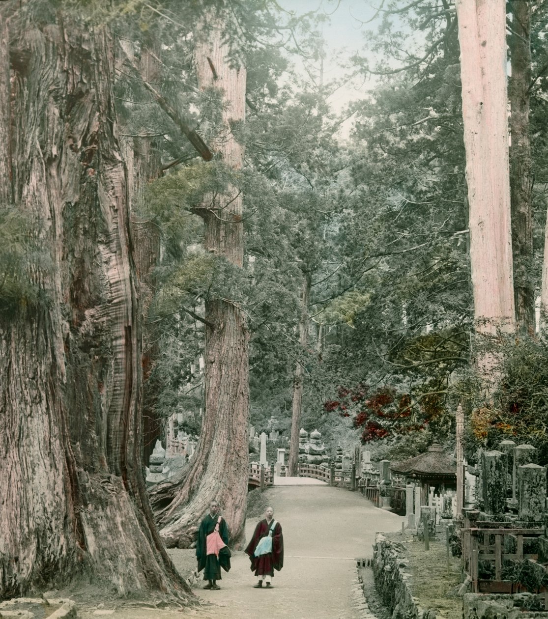 Okuno-In Cemetery on Mount Koya in Yamamoto, circa 1900 - 1915 by Teijiro Takagi