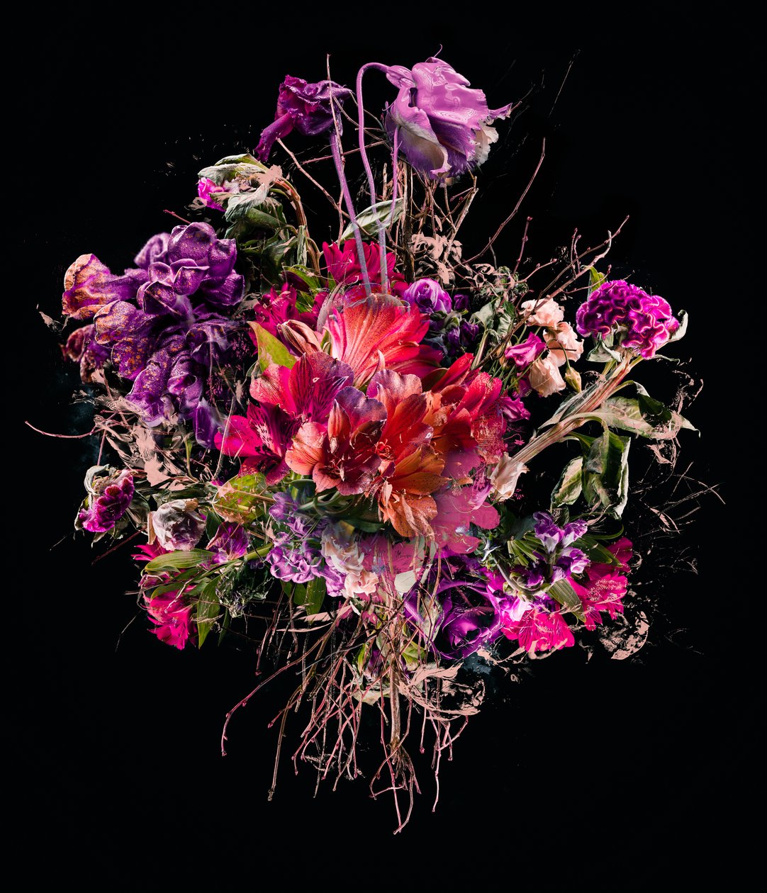 Bouquet Purple, 2017 by Teis Albers