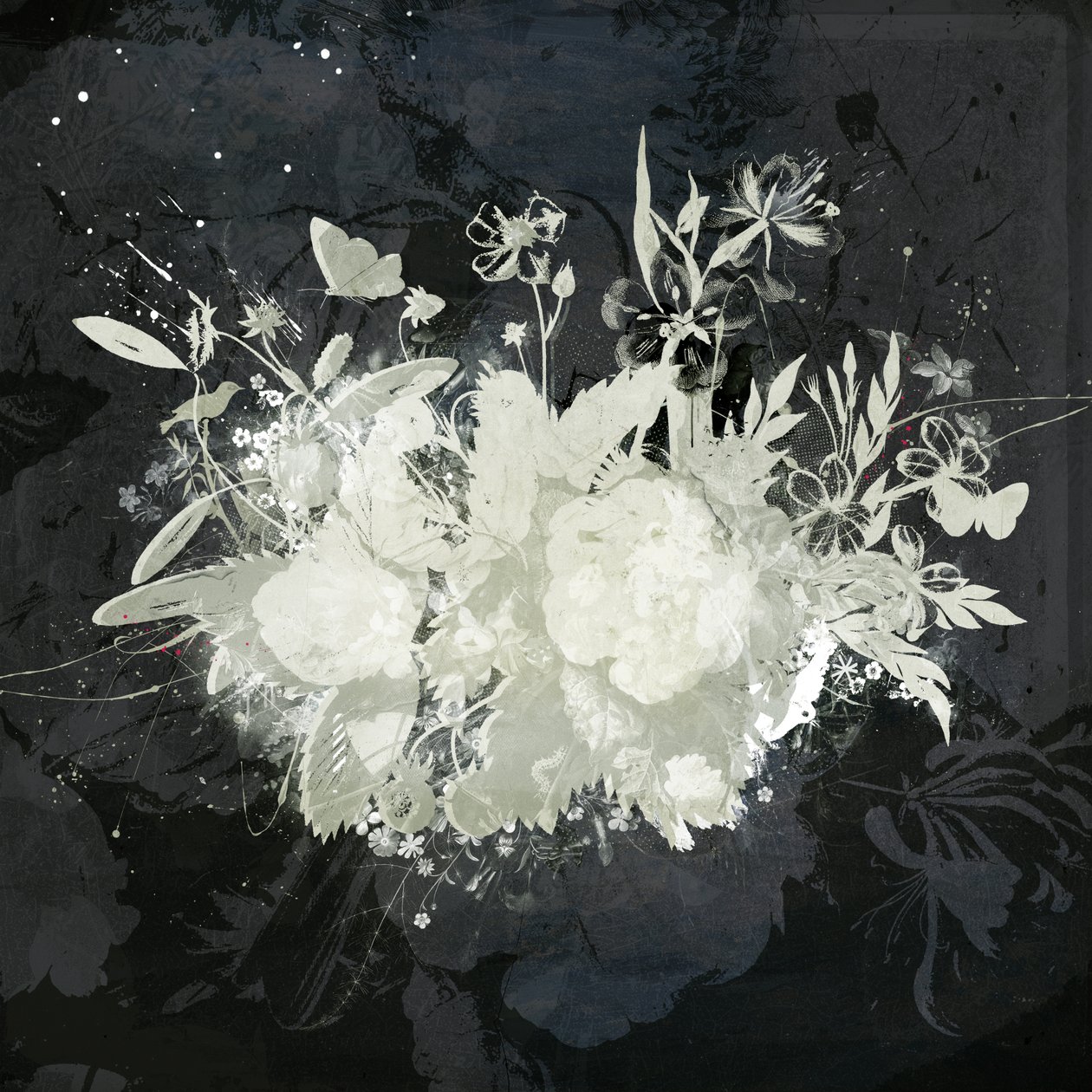 Floral Silhouette by Teis Albers