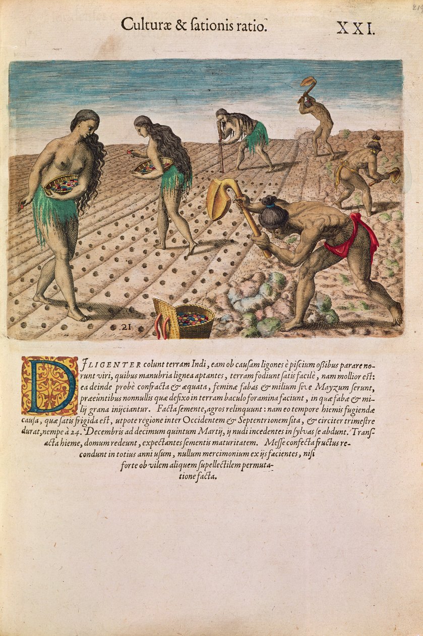 Florida Indians Planting Maize, from 