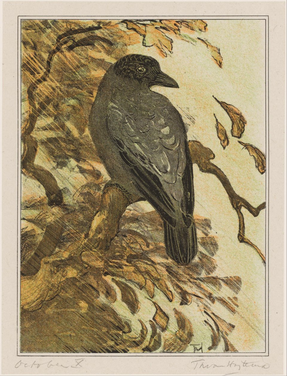 Colorful Crow on a Branch by Theo van Hoytema (signed by artist)