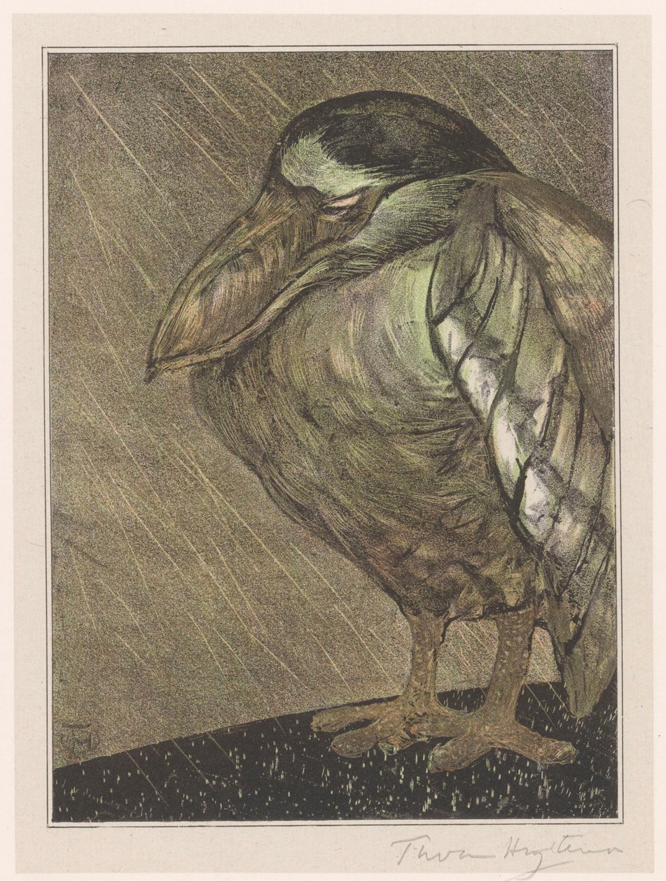 Boat-Billed Heron in the Rain by Theo van Hoytema (signed by artist)