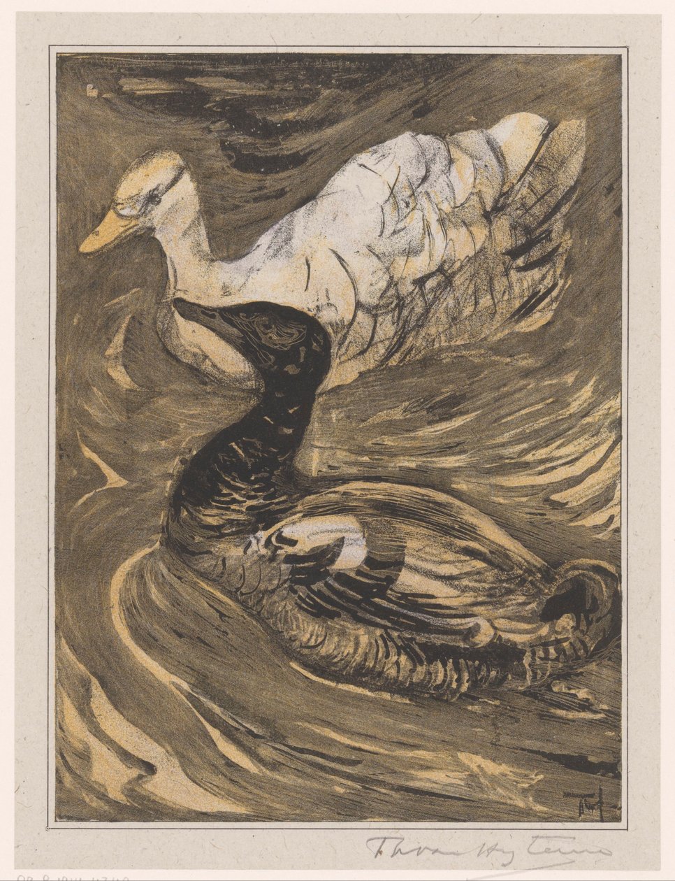 Two Swimming Ducks by Theo van Hoytema (signed by artist)